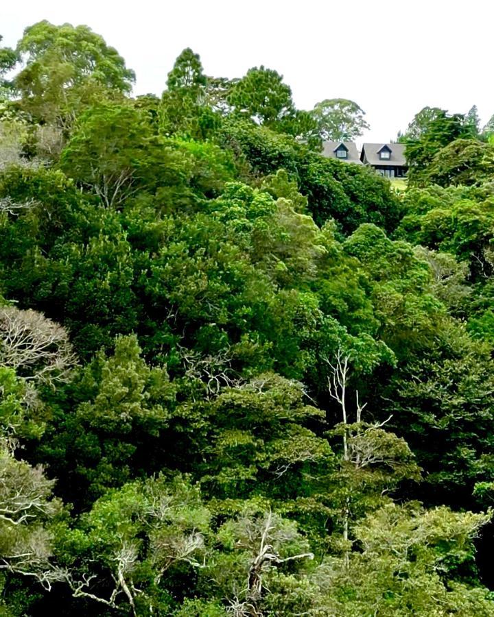 Villa Risco De Hugo Bajo Bajo Boquete Exterior foto